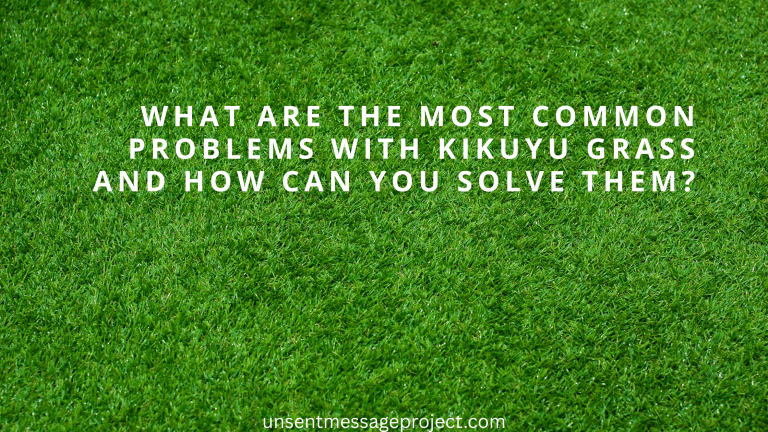 What are the Most Common Problems with Kikuyu Grass and How Can You Solve Them?