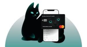 Making Money Move: Why blackcat transfer Works in Real Life, Not Just in Theory