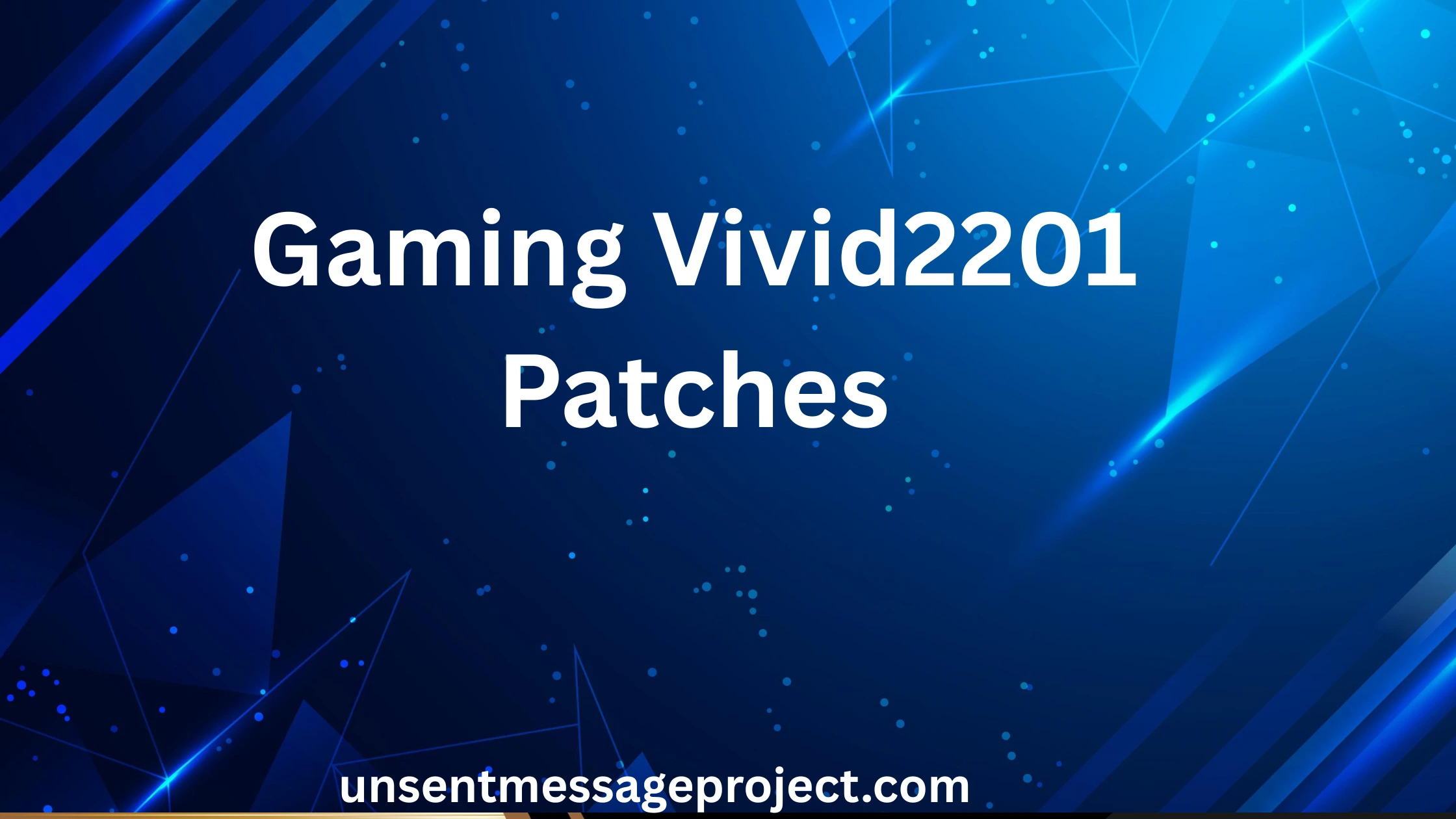 Gaming Vivid2201 Patches
