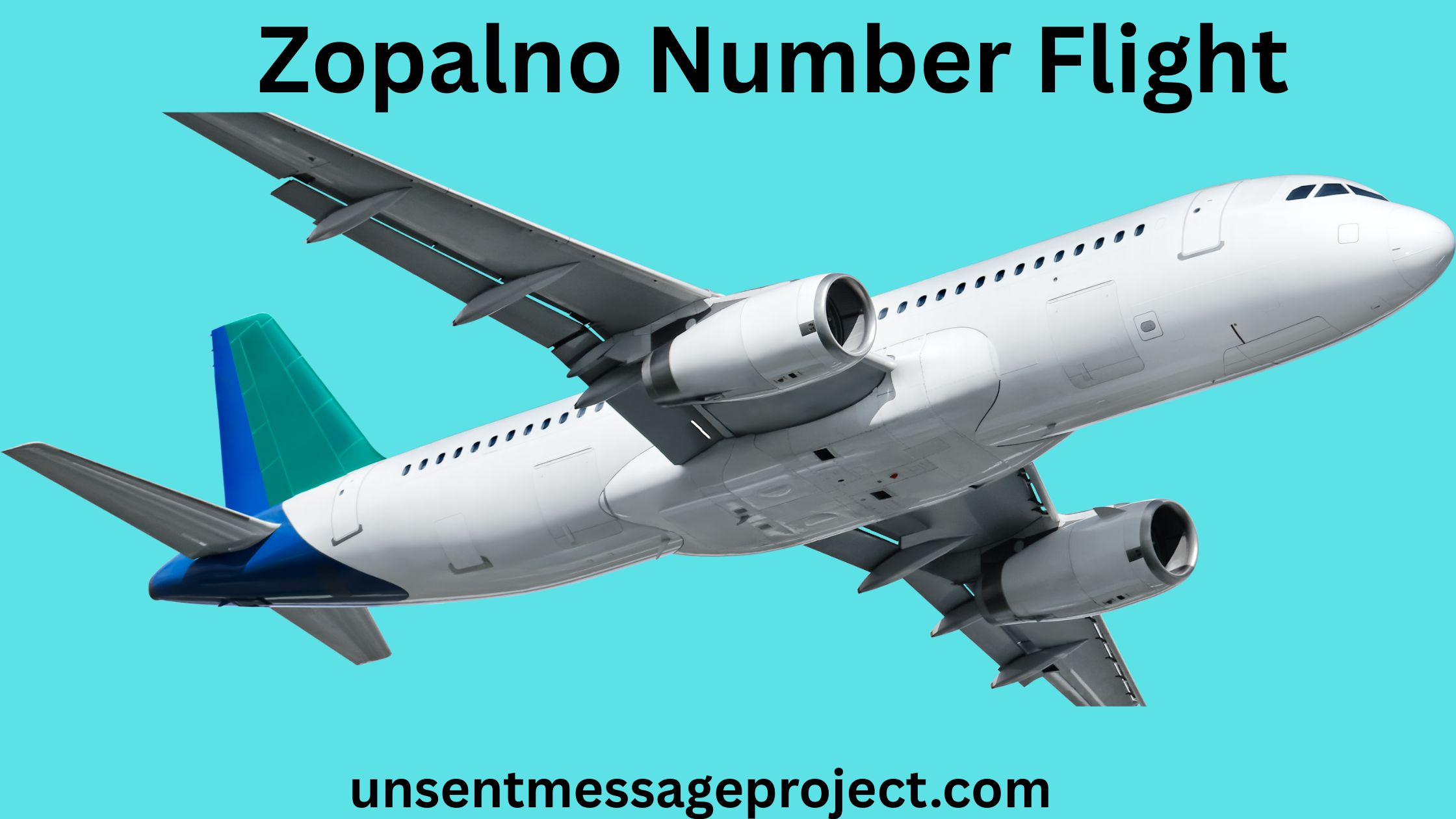 Zopalno Number Flight